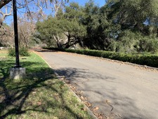 Enlarge photo 74