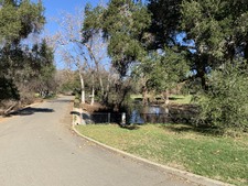 Enlarge photo 82