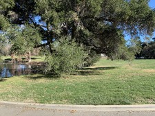 Enlarge photo 83