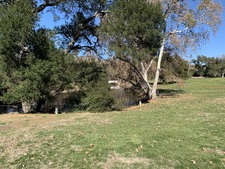 Enlarge photo 91