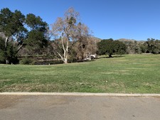 Enlarge photo 97