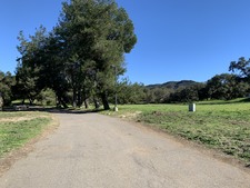 Enlarge photo 107