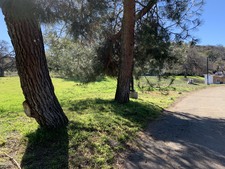 Enlarge photo 111