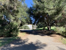 Enlarge photo 114