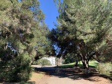 Enlarge photo 115