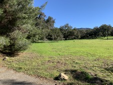 Enlarge photo 116