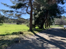 Enlarge photo 118
