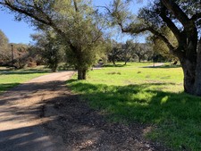 Enlarge photo 123