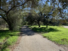 Enlarge photo 126