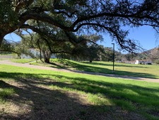 Enlarge photo 127