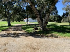 Enlarge photo 132