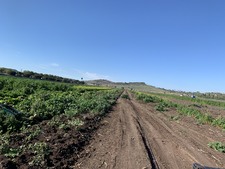 Enlarge photo 17