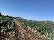 Enlarge photo 26