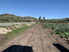 Enlarge photo 42