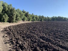Enlarge photo 45