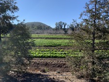 Enlarge photo 88