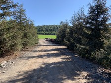 Enlarge photo 91