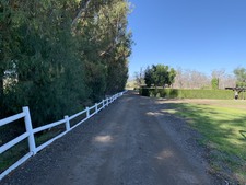 Enlarge photo 106