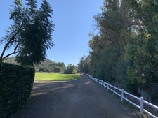 Enlarge photo 110