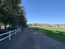 Enlarge photo 113
