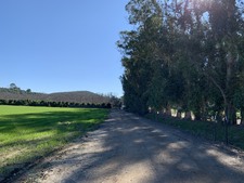 Enlarge photo 117