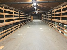 Enlarge photo 31