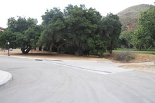 Enlarge photo 106