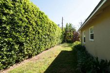 Enlarge photo 47