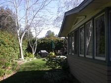 Enlarge photo 48