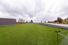 Enlarge photo 113