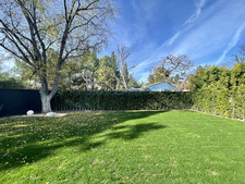 Enlarge photo 61