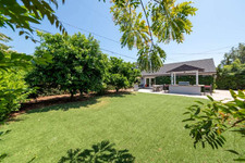 Enlarge photo 53