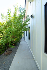 Enlarge photo 98