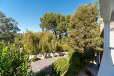 Enlarge photo 124