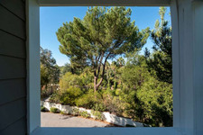 Enlarge photo 135
