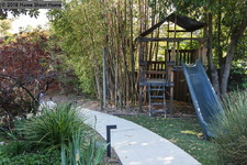 Enlarge photo 37