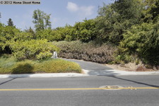 Enlarge photo 49