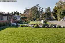 Enlarge photo 54