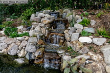 Enlarge photo 36