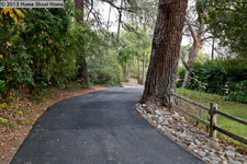 Enlarge photo 54