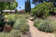 Enlarge photo 39