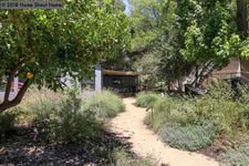 Enlarge photo 40