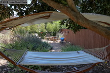 Enlarge photo 41