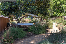 Enlarge photo 42