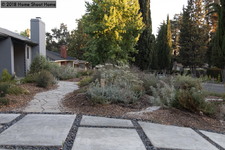 Enlarge photo 54