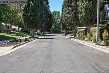 Enlarge photo 64