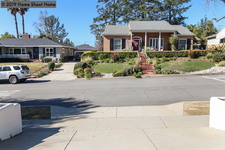 Enlarge photo 53