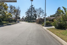 Enlarge photo 57
