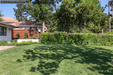 Enlarge photo 90