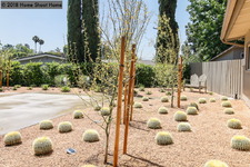 Enlarge photo 47